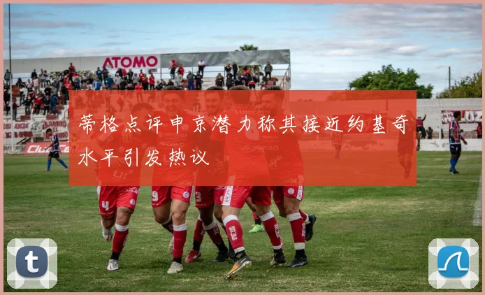 蒂格点评申京潜力称其接近约基奇水平引发热议