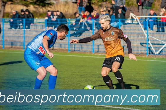 贝博足球平台生态图